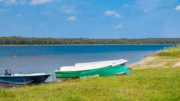 Łupki Agro Roś - zdjęcie 13