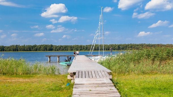 Łupki Agro Roś - zdjęcie 11