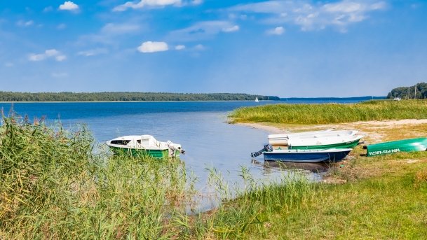 Łupki Agro Roś - zdjęcie 7