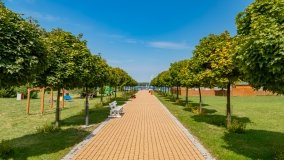 Euforia Port - zdjęcie 24