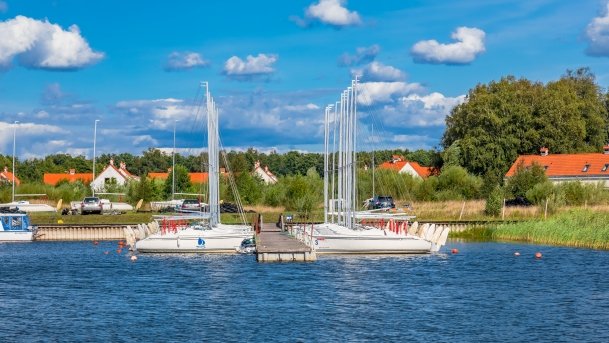 Imionek - zdjęcie 34