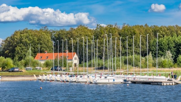 Imionek - zdjęcie 33