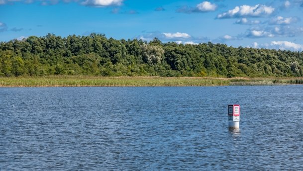 Śniardwy - zdjęcie 176