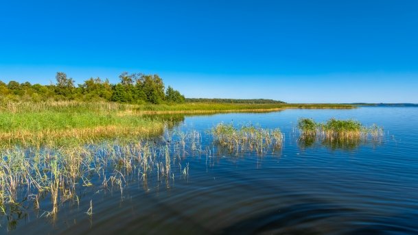 Śniardwy - zdjęcie 168