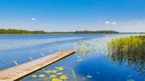 Pomost Ogonki Stręgiel - zdjęcie 9