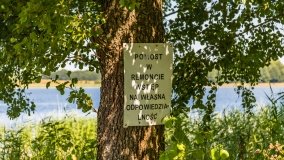 Pomost Ogonki Stręgiel - zdjęcie 6