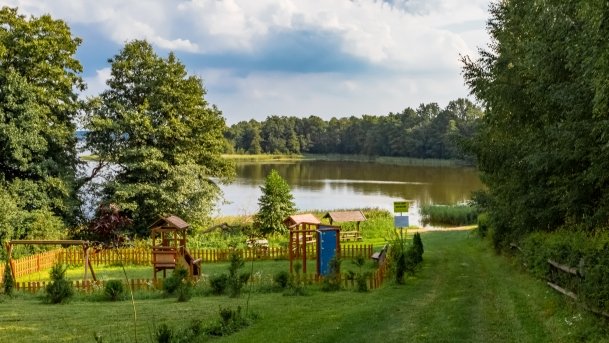 Stręgiel - zdjęcie 30