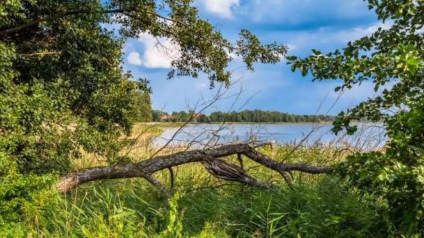 Plaża Stręgiel - zdjęcie 3