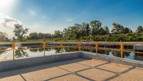 Port Nad Pisą - zdjęcie 5