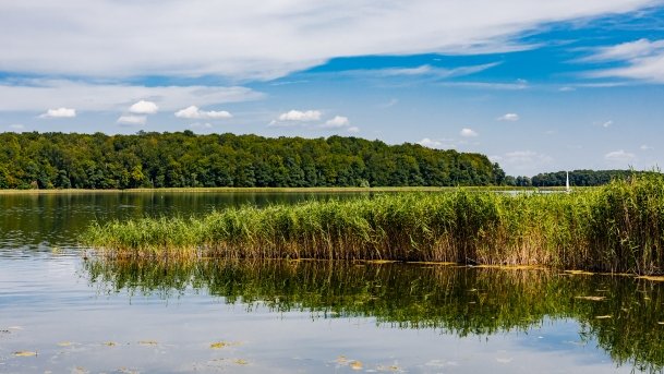 Narie - zdjęcie 121