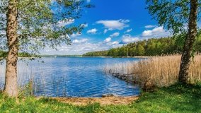 Zatoka Mrówki - zdjęcie 23