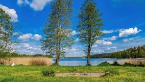 Zatoka Mrówki - zdjęcie 22