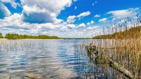 Zatoka Mrówki - zdjęcie 19