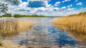 Zatoka Mrówki - zdjęcie 17