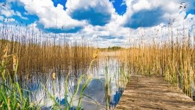 Zatoka Mrówki - zdjęcie 16