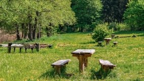 Zatoka Mrówki - zdjęcie 15