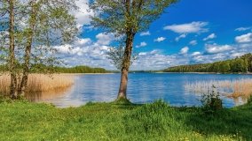 Zatoka Mrówki - zdjęcie 12