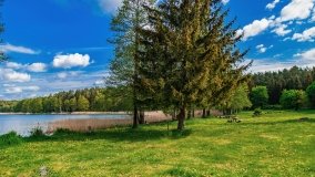 Zatoka Mrówki - zdjęcie 11