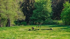 Zatoka Mrówki - zdjęcie 7