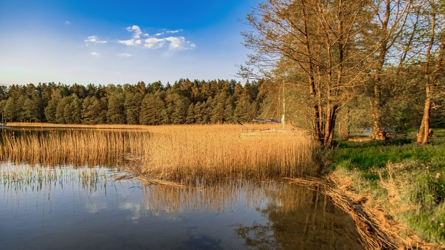 Zatoka Mrówki - zdjęcie 1