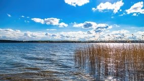 Obieżyświat Skorupki - zdjęcie 20