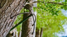 Obieżyświat Skorupki - zdjęcie 18