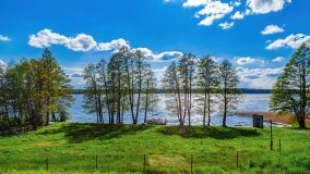 Obieżyświat Skorupki - zdjęcie 12