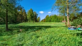 Obieżyświat Skorupki - zdjęcie 9