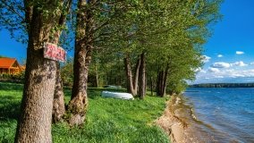 Obieżyświat Skorupki - zdjęcie 8