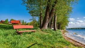 Obieżyświat Skorupki - zdjęcie 6