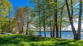 Obieżyświat Skorupki - zdjęcie 4