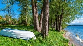 Obieżyświat Skorupki - zdjęcie 3