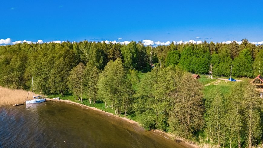 Obieżyświat Skorupki - zdjęcie 1