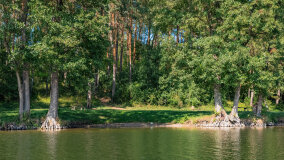 Zatoka Skonał - zdjęcie 33