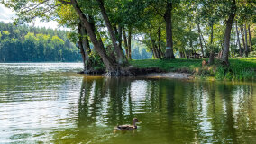 Zatoka Skonał - zdjęcie 32