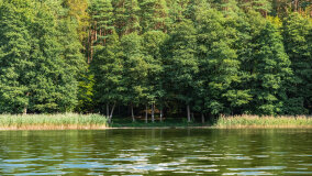 Zatoka Skonał - zdjęcie 30