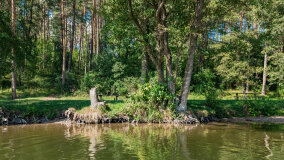 Zatoka Skonał - zdjęcie 29