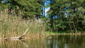 Zatoka Skonał - zdjęcie 28