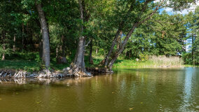 Zatoka Skonał - zdjęcie 26