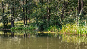 Zatoka Skonał - zdjęcie 23