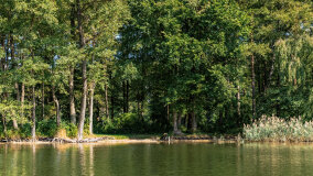 Zatoka Skonał - zdjęcie 22