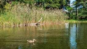 Zatoka Skonał - zdjęcie 19