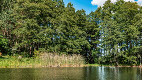 Zatoka Skonał - zdjęcie 18