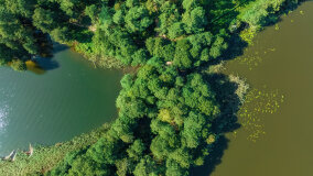 Zatoka Skonał - zdjęcie 5