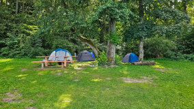 Pole Biwakowe w Zatoce - zdjęcie 21