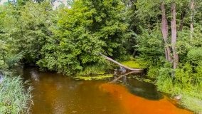 Spływ kajakowy - jez. Dadaj - jez. Pisz - zdjęcie 10