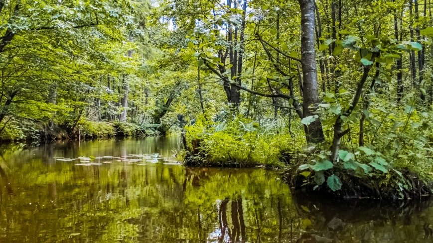 Spływ kajakowy - jez. Dadaj - jez. Pisz - zdjęcie 1