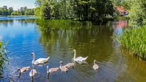 Spływ kajakowy - rzeka Dajna - Piecki - rzeka Guber - zdjęcie 21