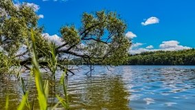 Spływ kajakowy - rzeka Dajna - Piecki - rzeka Guber - zdjęcie 20