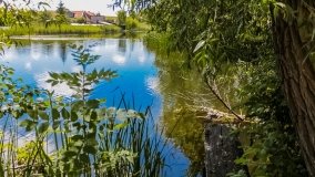 Spływ kajakowy - rzeka Dajna - Piecki - rzeka Guber - zdjęcie 19